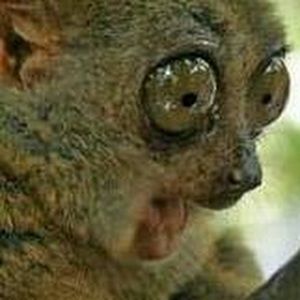 Meet your Posher, Gabe